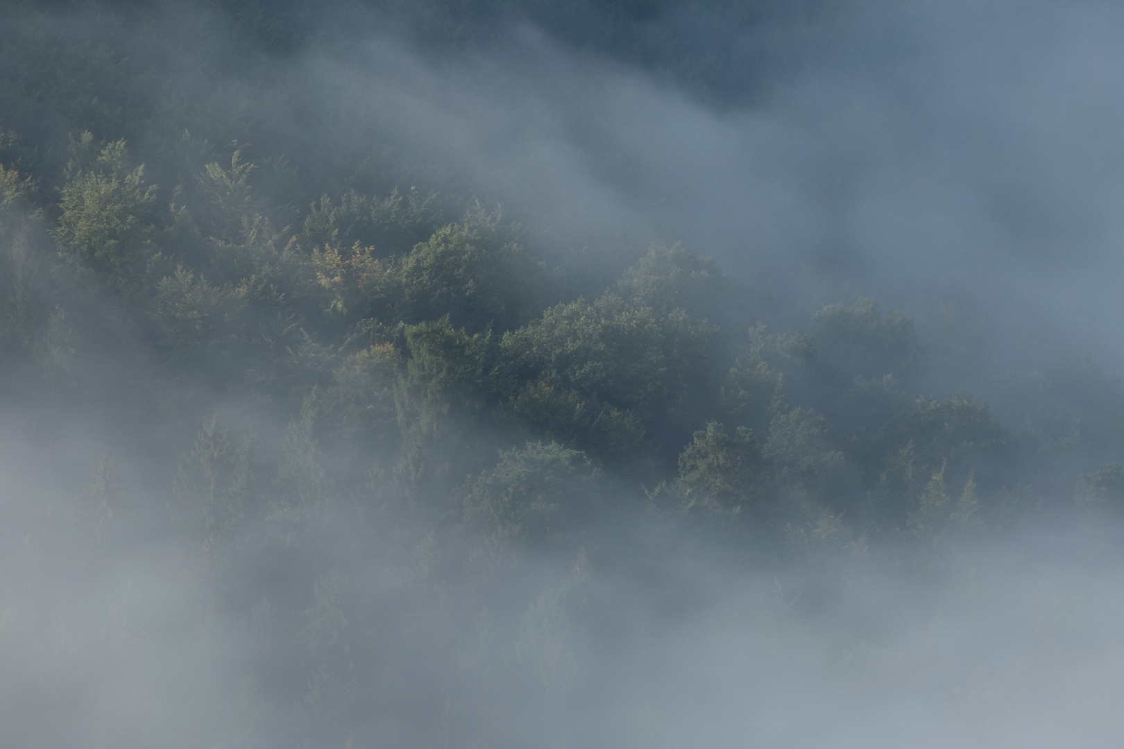 Nebel zieht auf