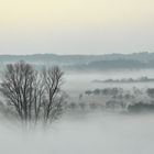 Nebel zieht auf