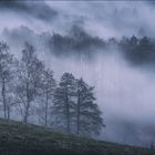 Nebel zieht auf