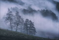 Nebel zieht auf