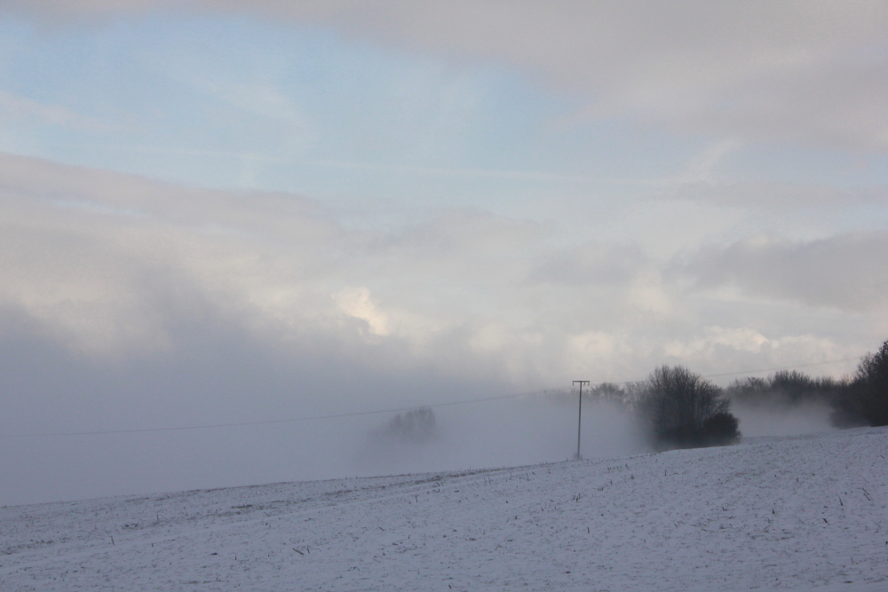 Nebel zieht auf