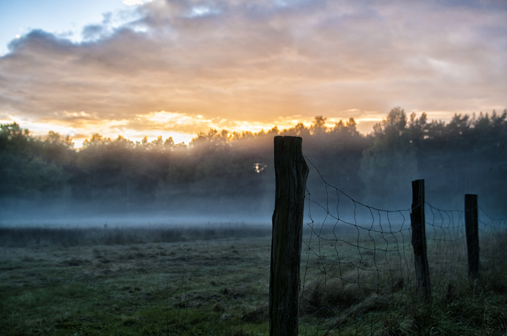 Nebel zieht auf