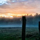 Nebel zieht auf