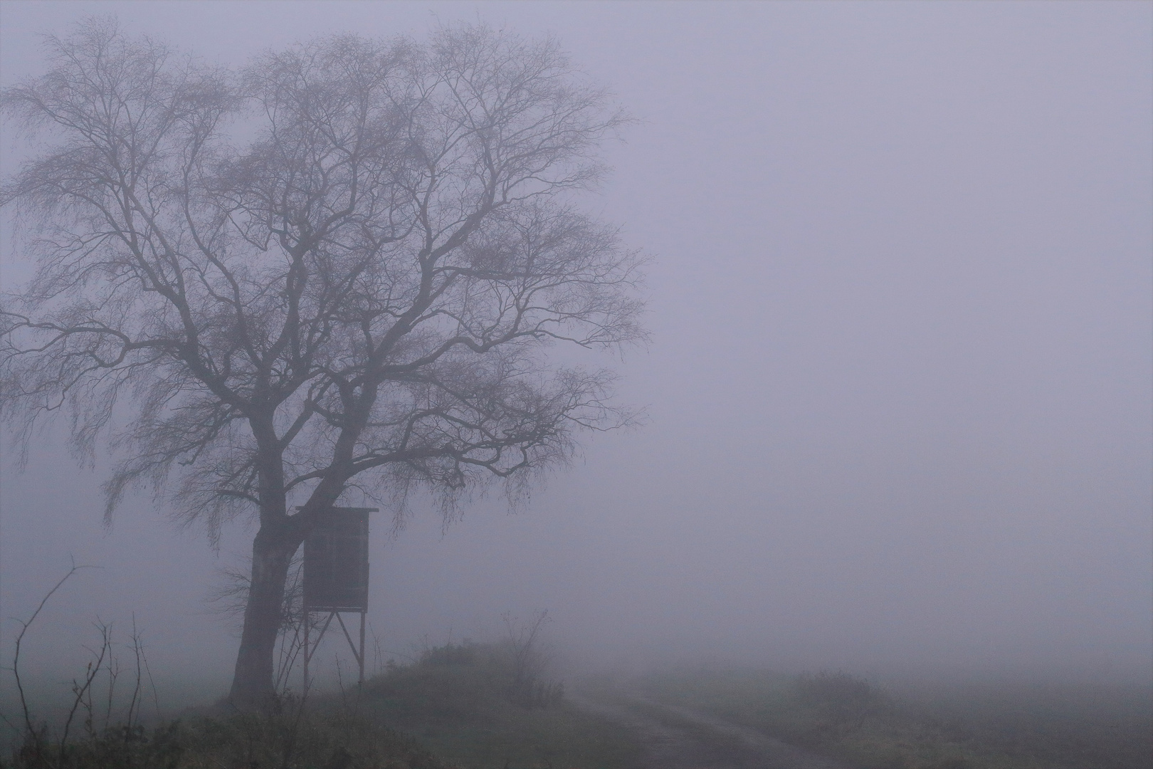 *** Nebel zieht auf ***