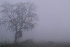 *** Nebel zieht auf ***