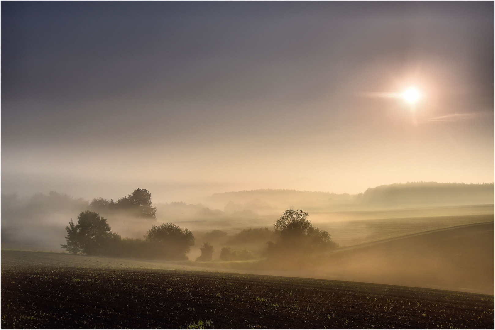 Nebel zieht auf