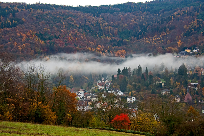 Nebel zieht auf...