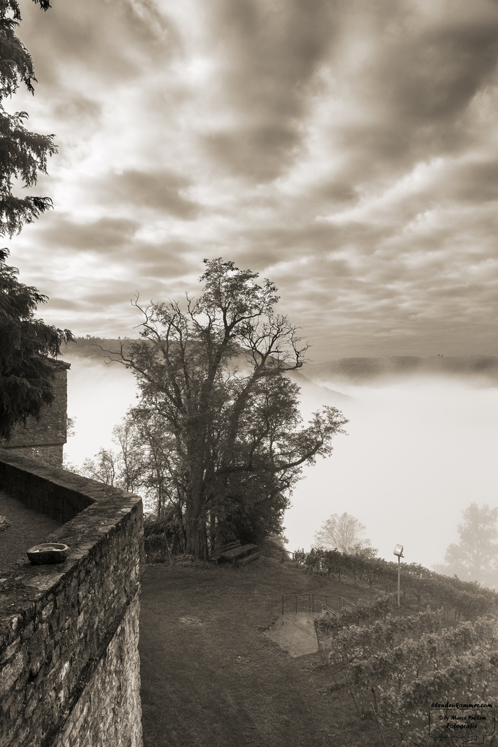 Nebel zieht auf