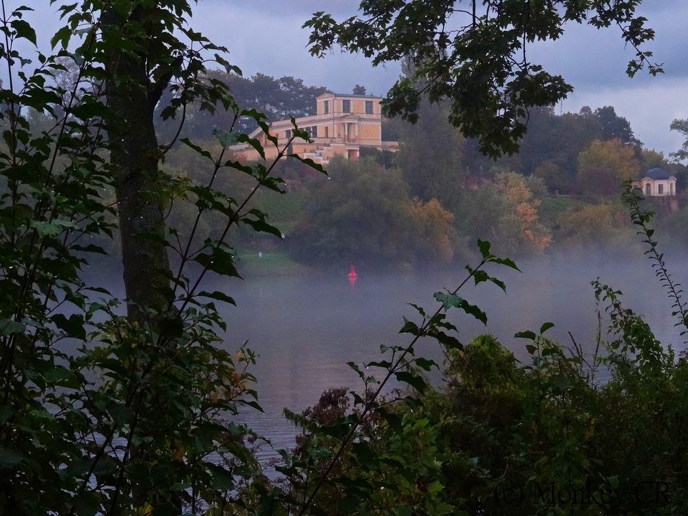 Nebel zieht auf am Main