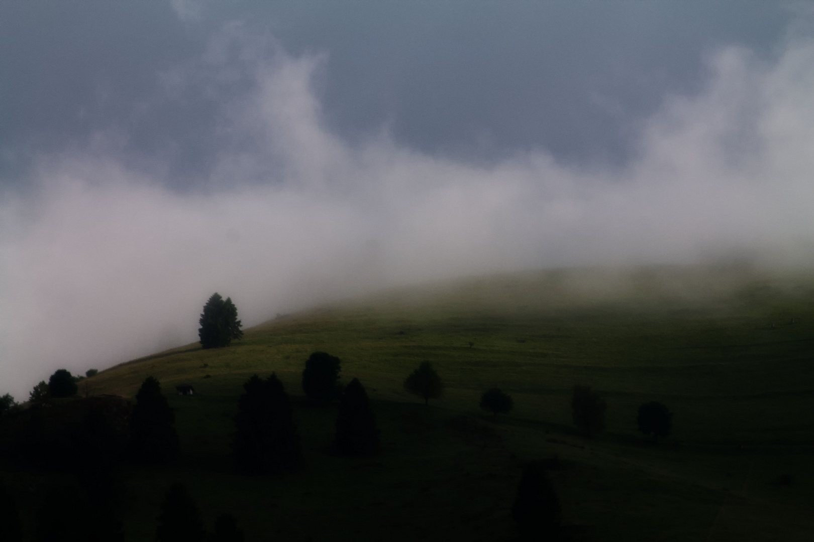 Nebel zieht auf