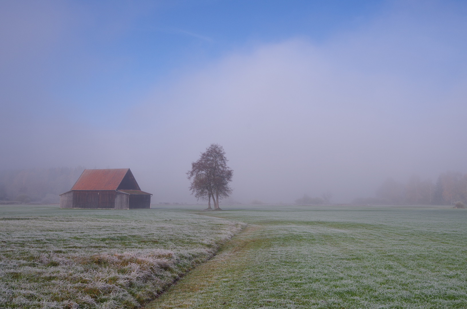 Nebel zieht auf