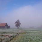 Nebel zieht auf