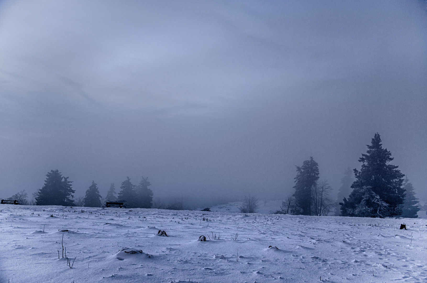 Nebel zieht auf