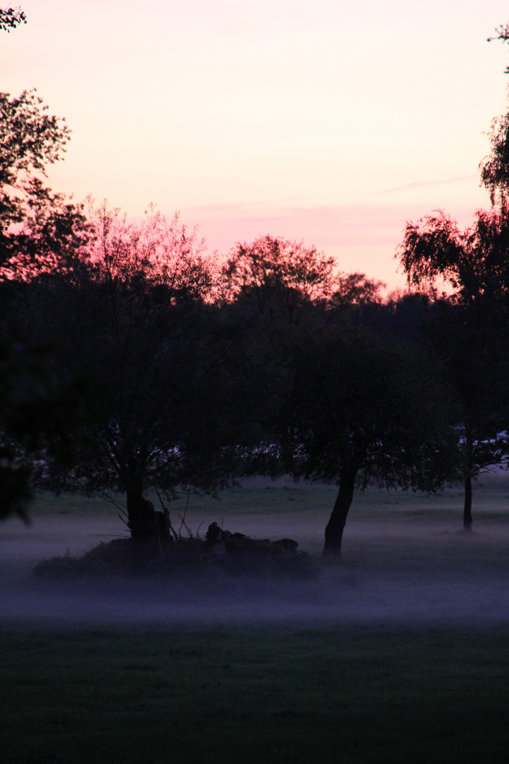 Nebel zieht auf in der Abendstimmung