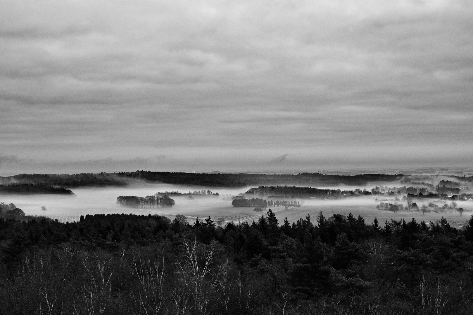 Nebel zieht auf in Montferland 