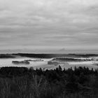 Nebel zieht auf in Montferland 