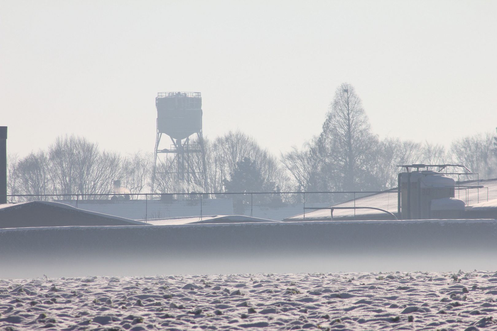 Nebel zieht bei strahlendem Sonnenschein über verschneite Felder