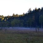 Nebel zieht duch das Land