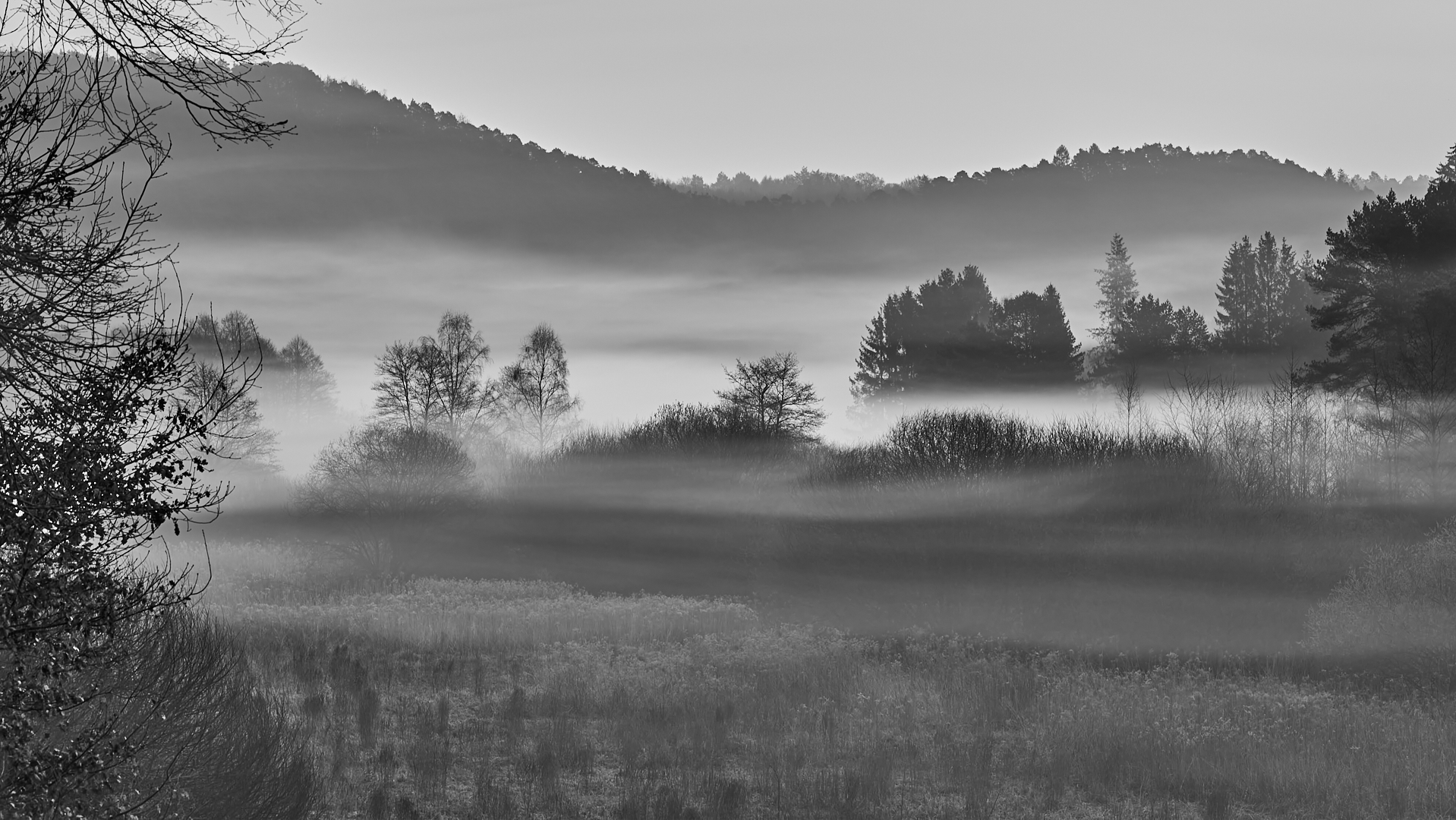 Nebel zieht durchs Tal.