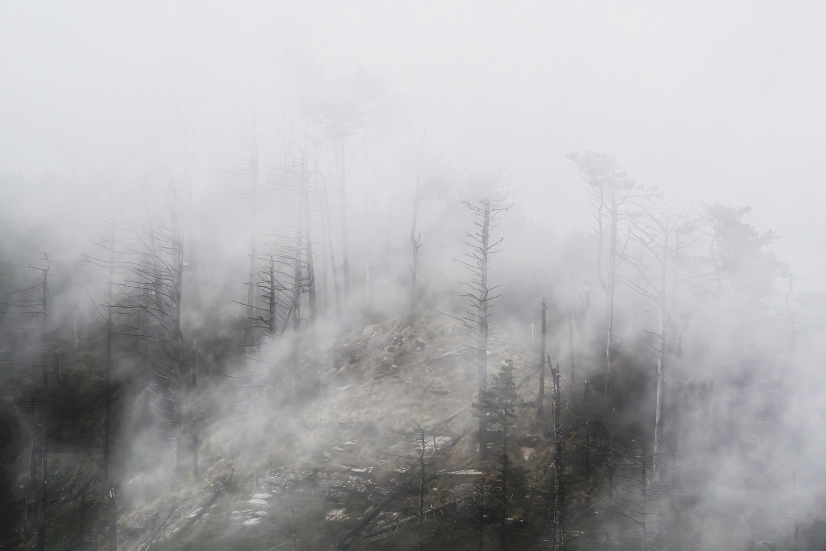 nebel zieht ein