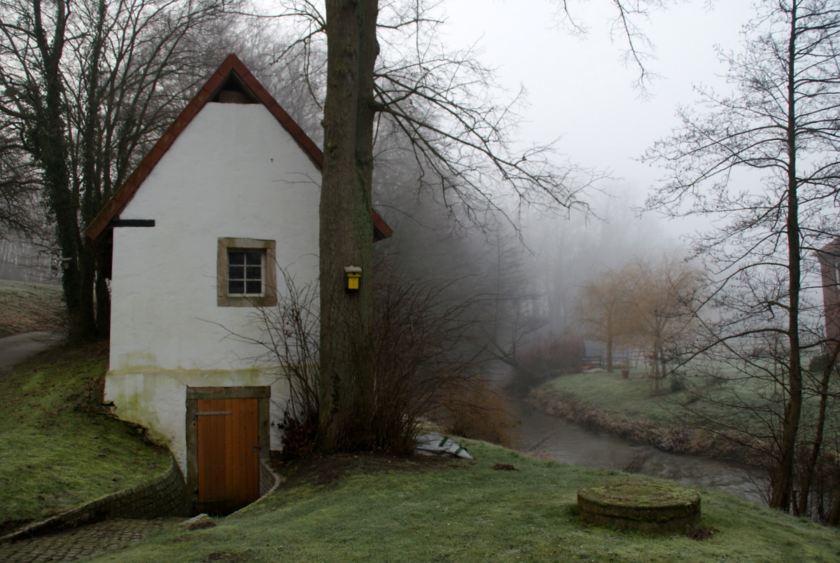 Nebel zieht ins Land