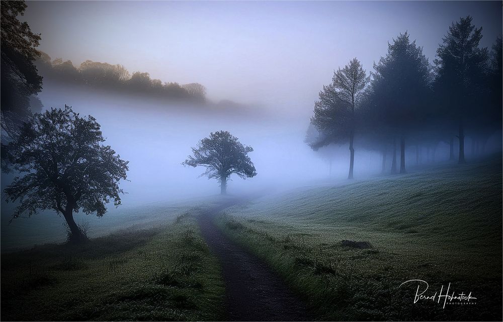 Nebel zieht ins Land .....