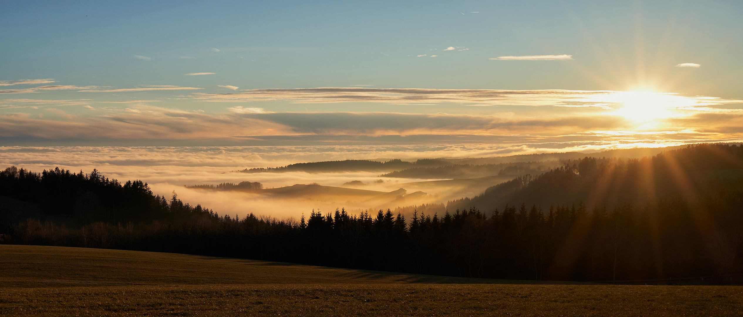 Nebel zieht ins Land