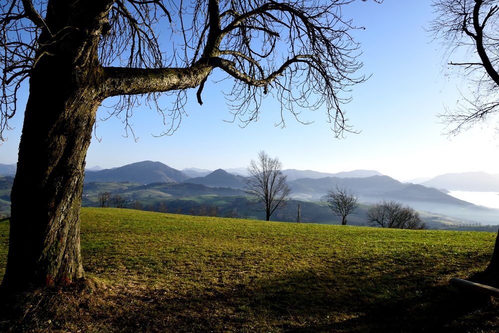 Nebel zieht ins Land