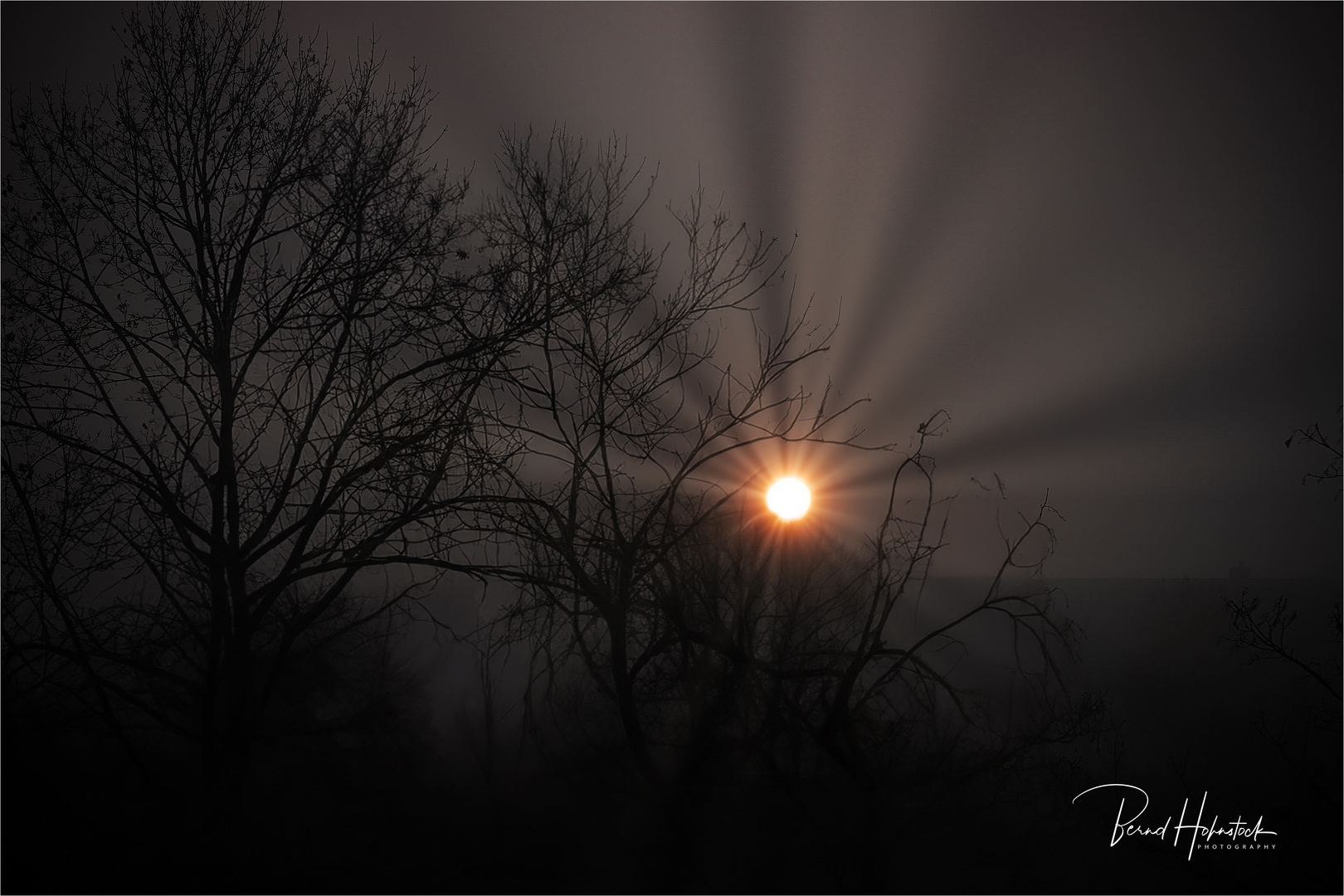 Nebel zieht ins Land ... am Niederrhein