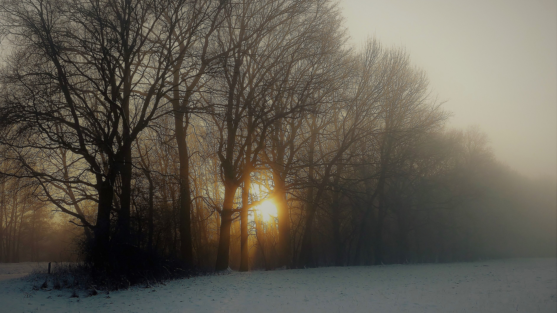 Nebel zieht rein