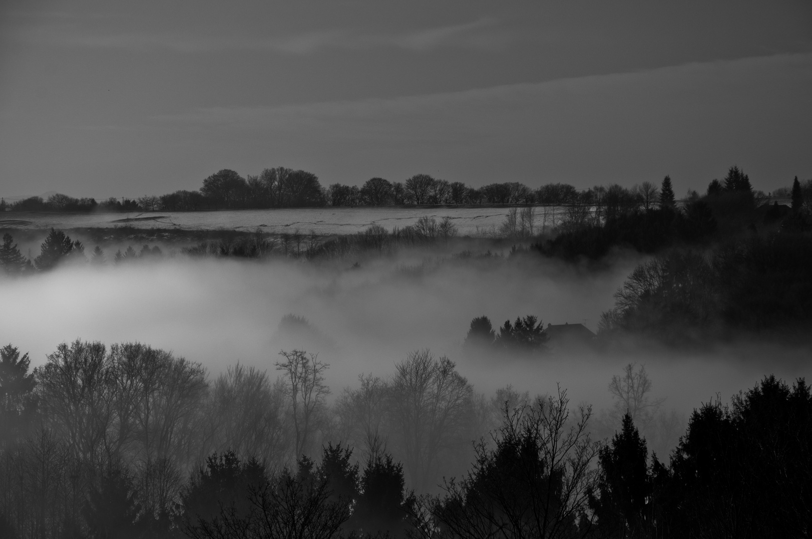 Nebel zieht vom Tal herauf_2