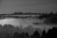 Nebel zieht vom Tal herauf_2