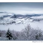 Nebel zieht von der Mosel hoch