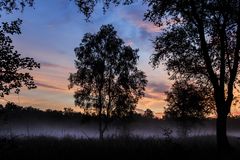 Nebel zum Sonnenaufgang