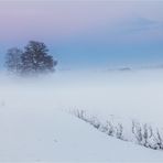 Nebel zum Sonnenuntergang