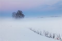 Nebel zum Sonnenuntergang