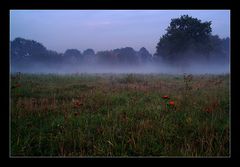 ...Nebel zur blauen Stunde...