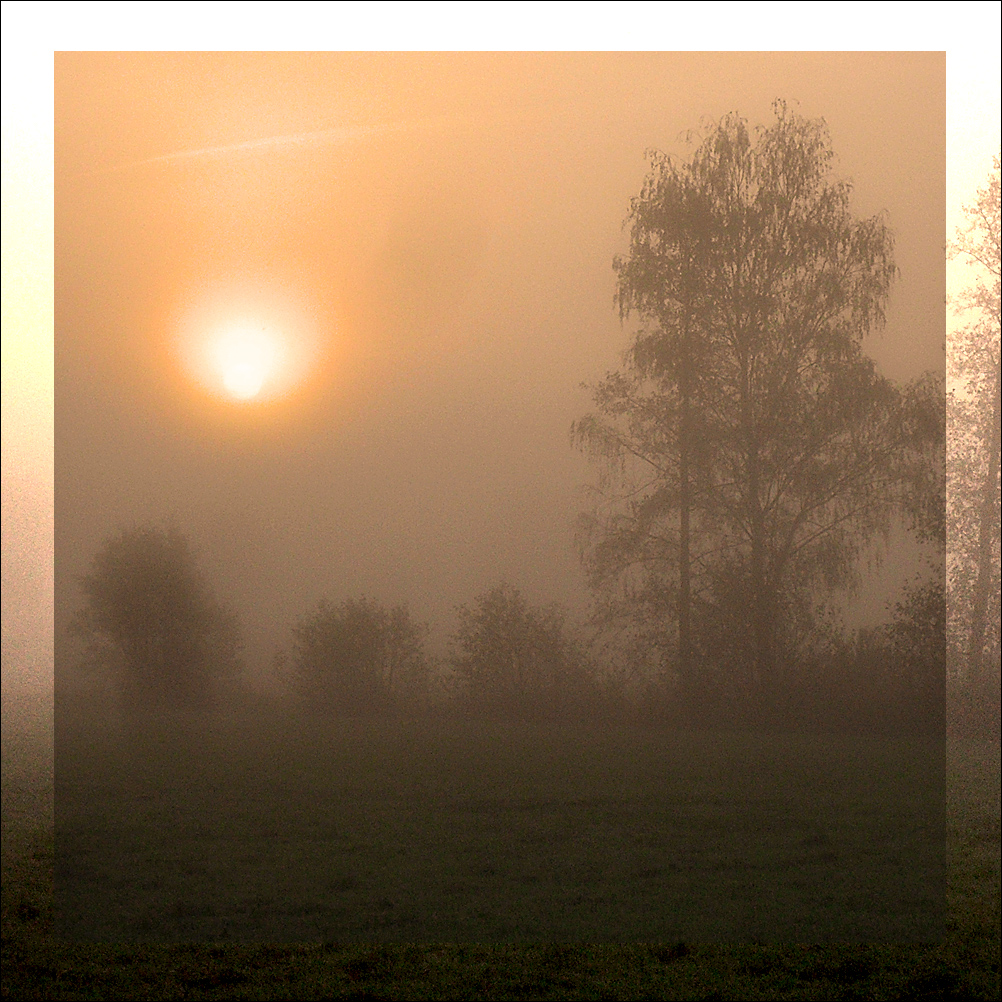 nebel_0053