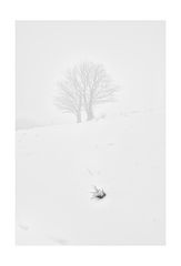 Nebel_1