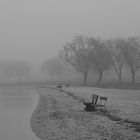 Nebel_1