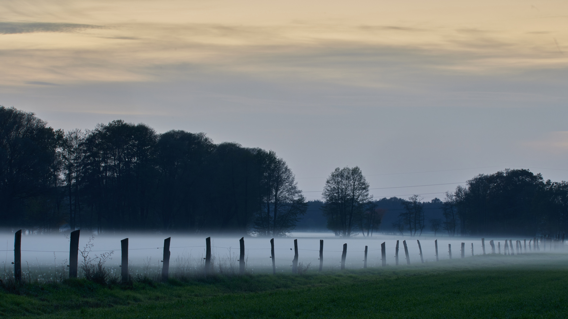 Nebel_1