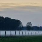 Nebel_1