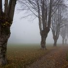 Nebel(1)