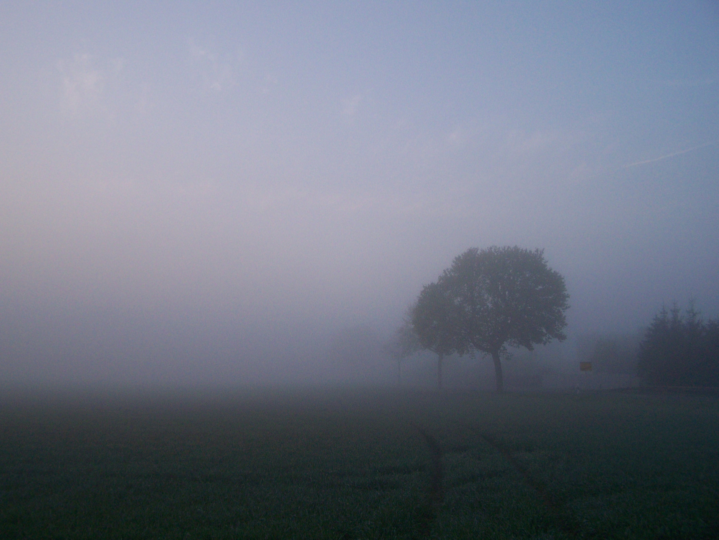 Nebel2