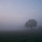 Nebel2
