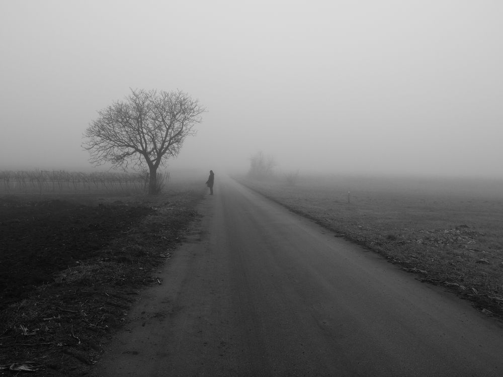 Nebel_2