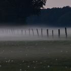 Nebel_2