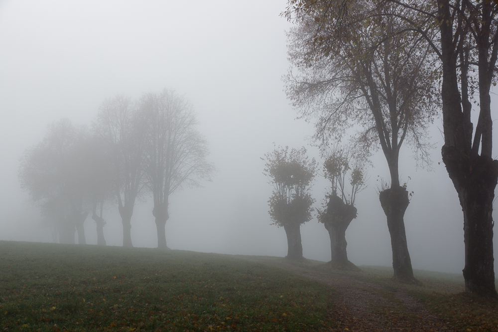 Nebel(2)