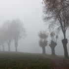 Nebel(2)