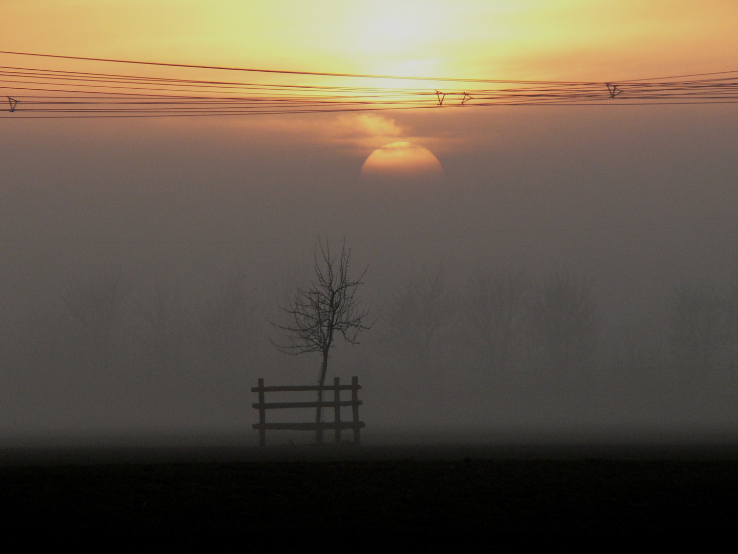 ...Nebelabend - mit Hesse